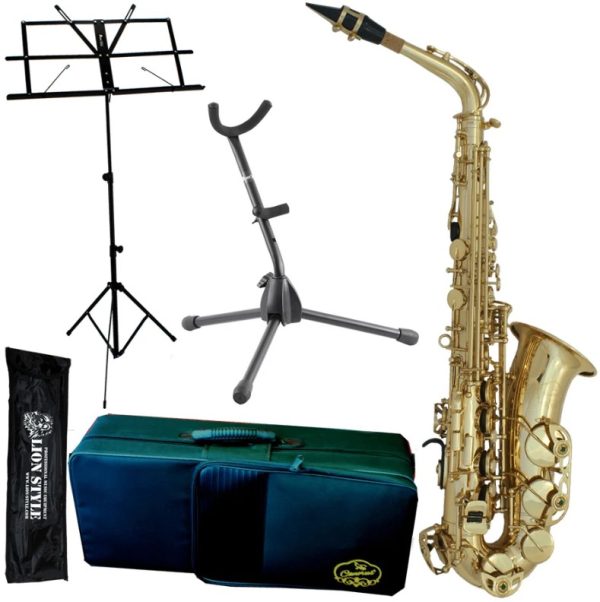 ALT SAX CANORUS AS501 STARTER SET