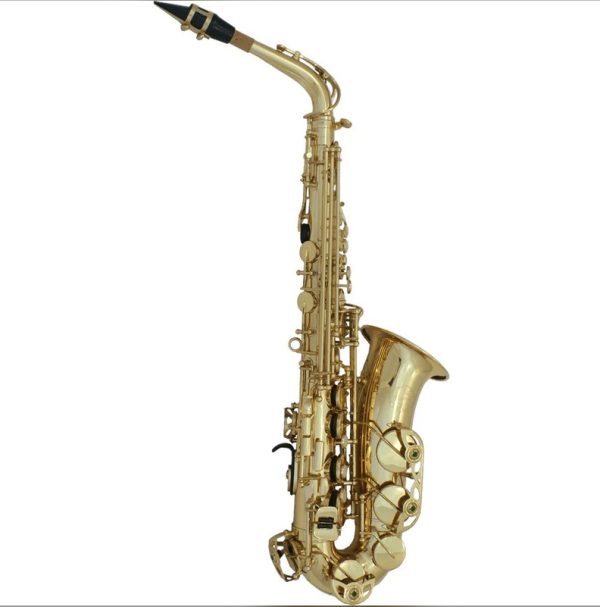 ALT SAX CANORUS AS501 STARTER SET - Image 2